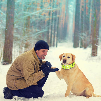 High-Visibility Reflective Dog Collars – 2 Pack