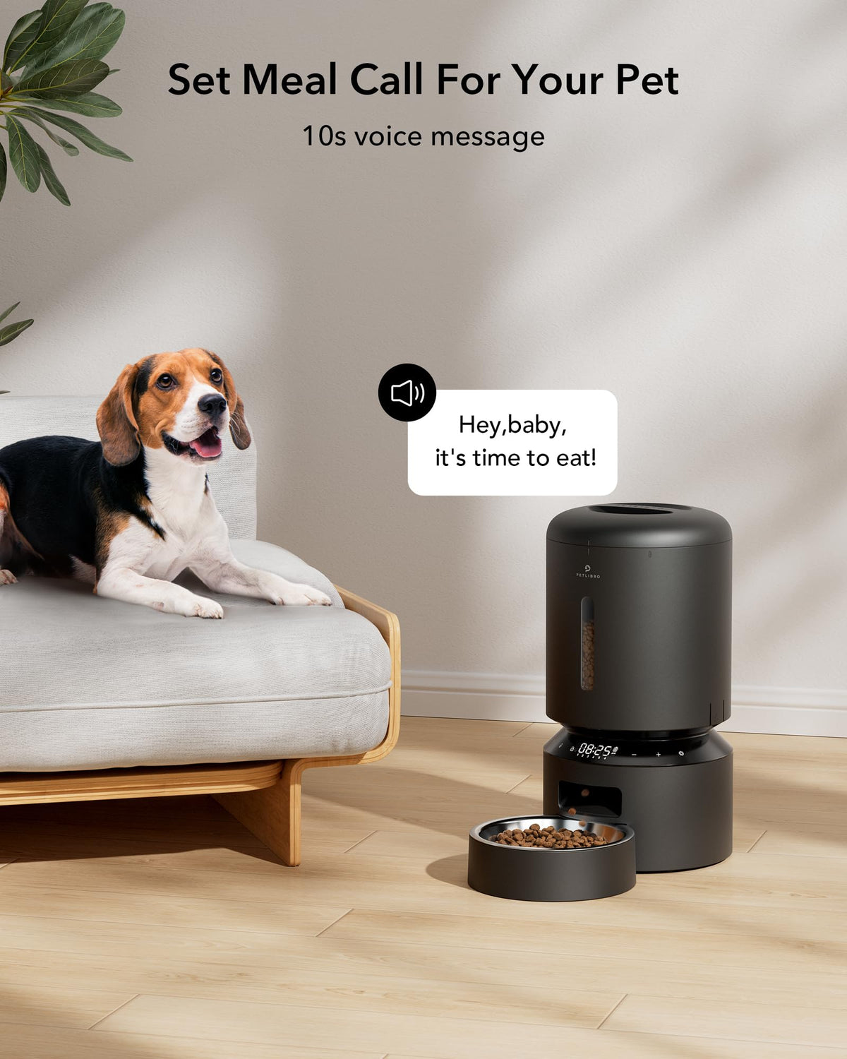 5L Automatic Cat Feeder With Dual Steel Bowls