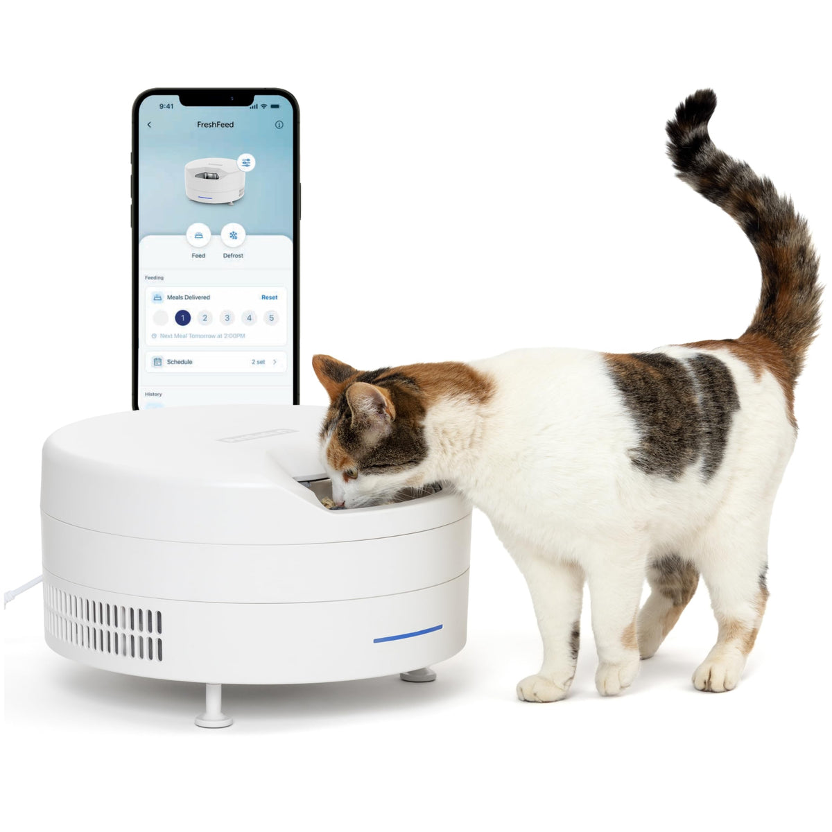 Refrigerated Pet Feeder With 6 Fresh Meals