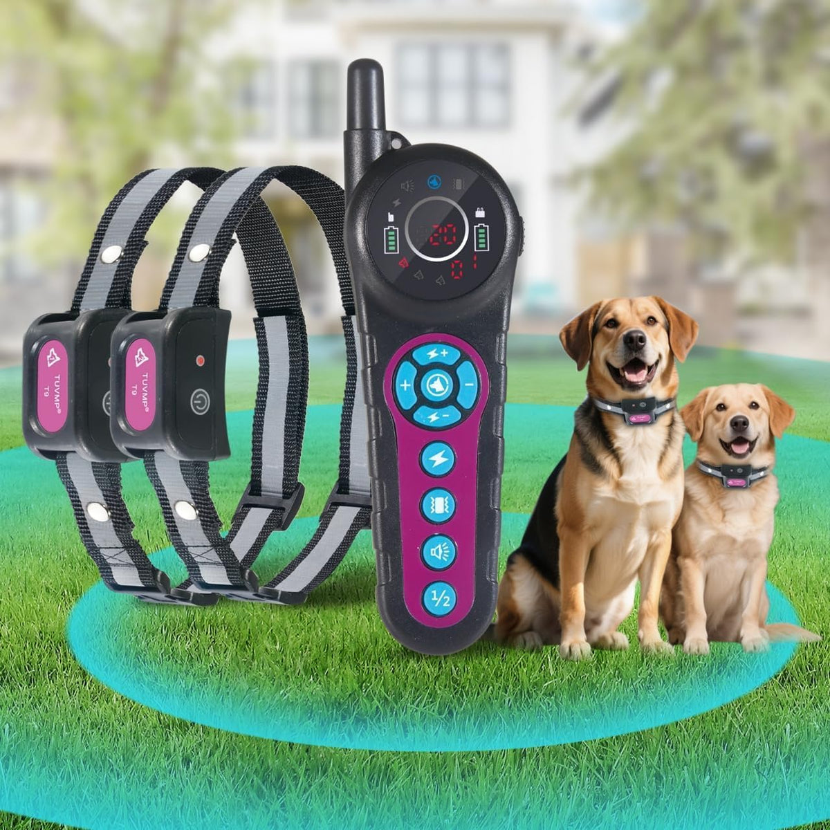 Wireless Dog Fence & Training Collar System