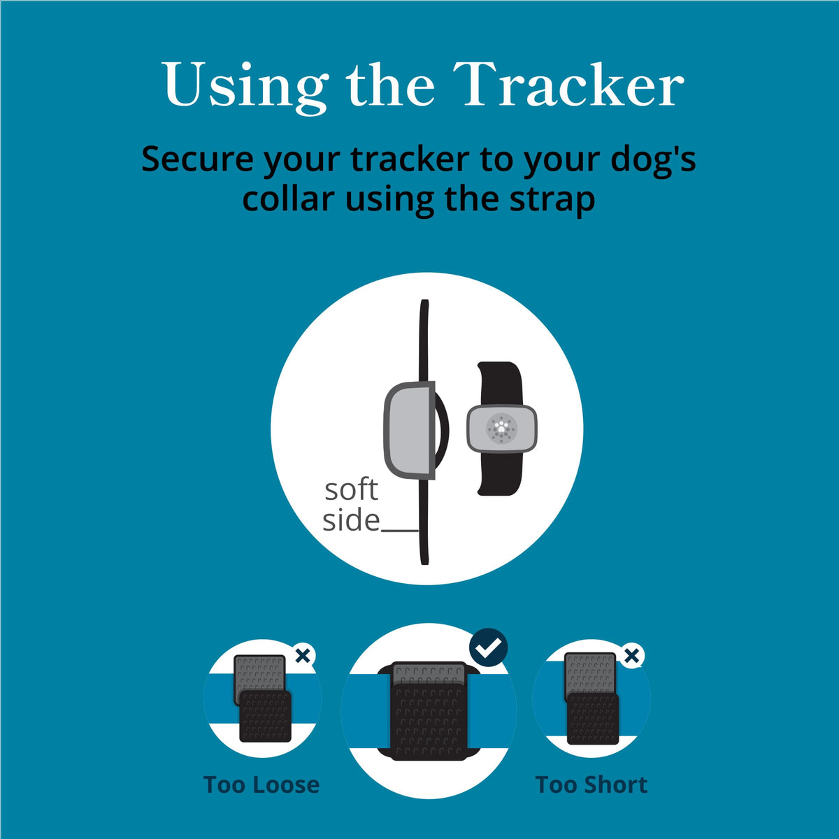 petivity Smart GPS and Activity Dog Tracker Tag