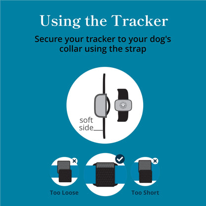 petivity Smart GPS and Activity Dog Tracker Tag
