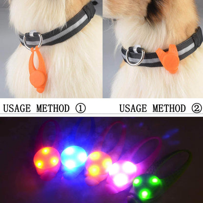Waterproof LED Pet Safety Lights – 5 Pack