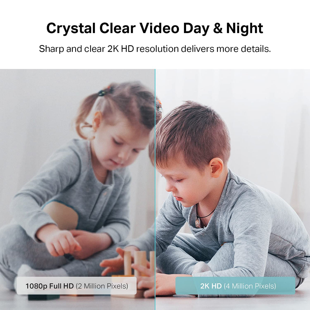 1080p Pan & Tilt Pet Camera With Night Vision