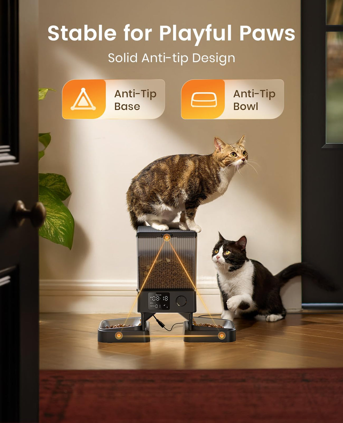 Automatic Dual Cat Feeder With 5L Food Storage