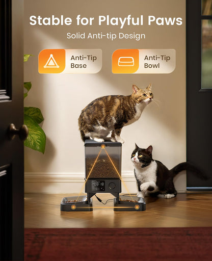 Automatic Dual Cat Feeder With 5L Food Storage