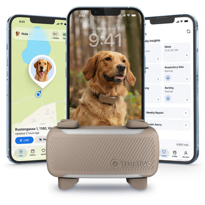 XL Smart Dog GPS Tracker With Virtual Fence