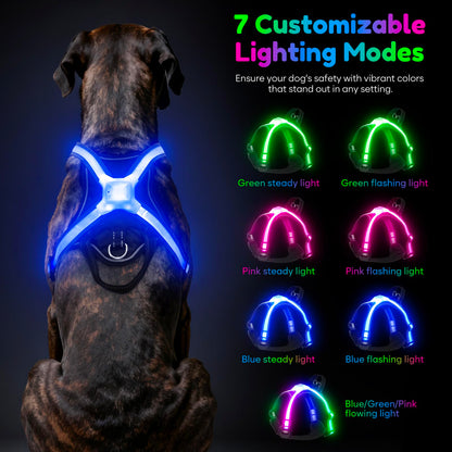 LED Dog Harness With Rechargeable Safety Lights