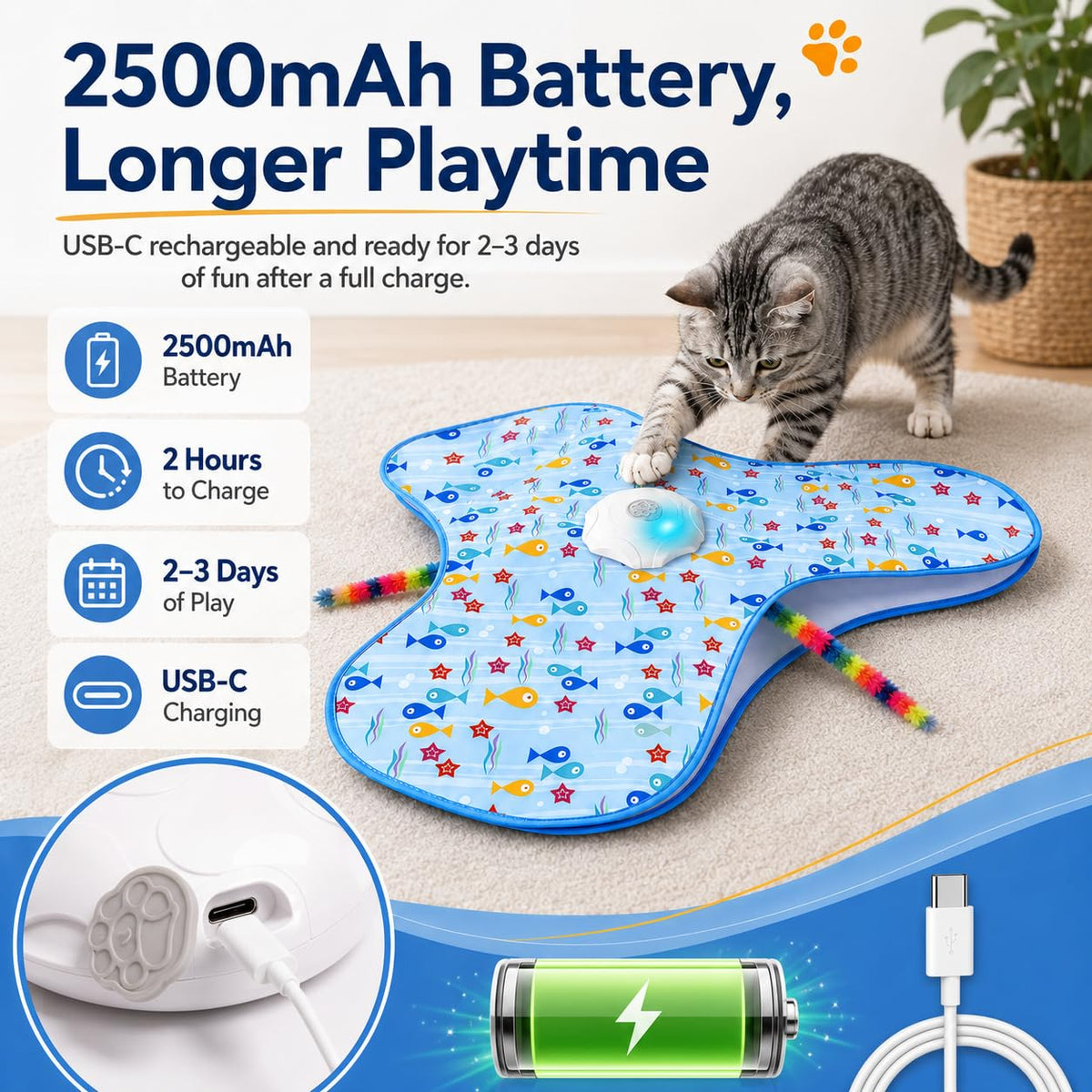 Interactive Cat Toys for Indoor Play & Enrichment