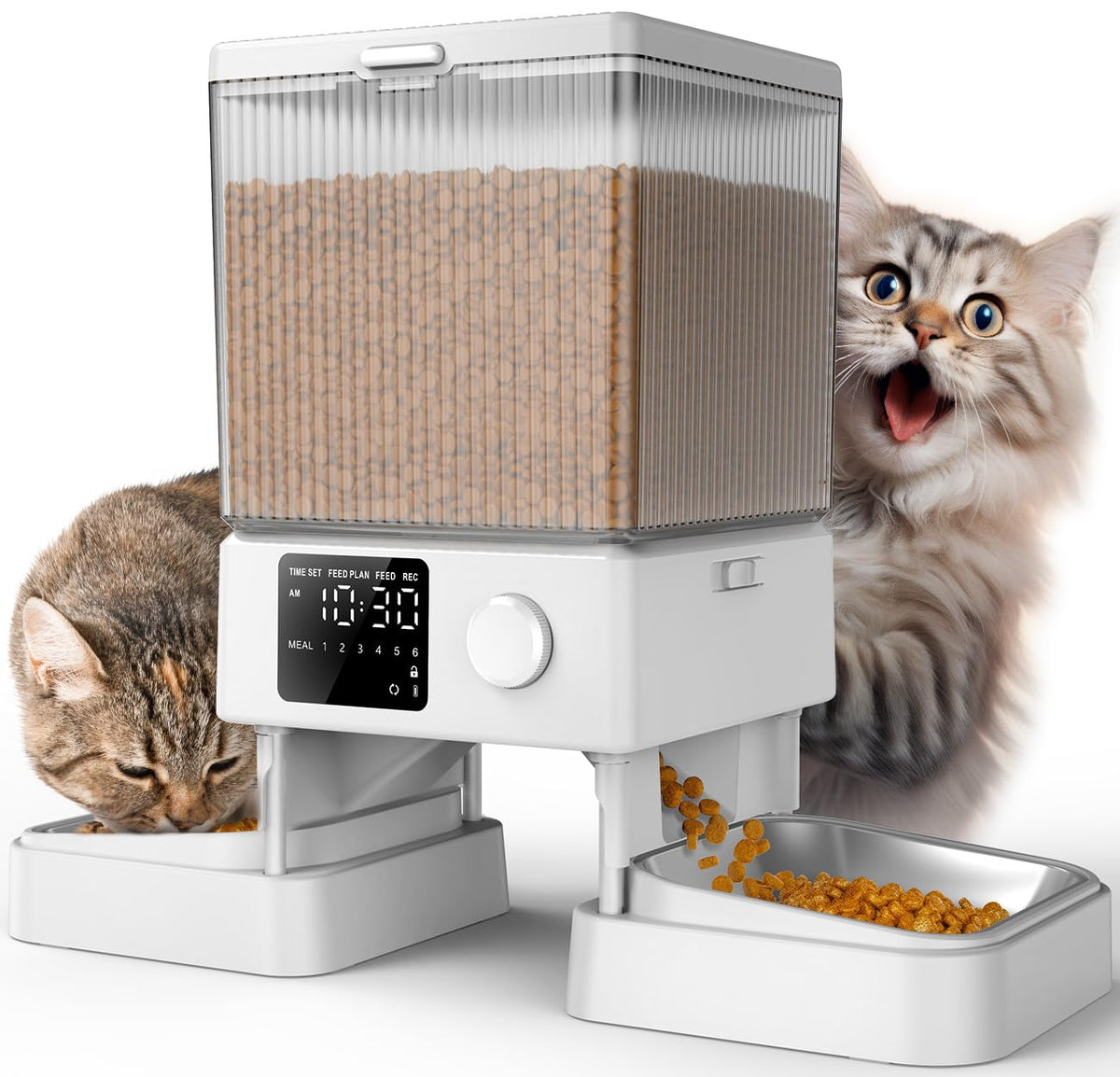 Automatic Dual Cat Feeder With 5L Food Storage
