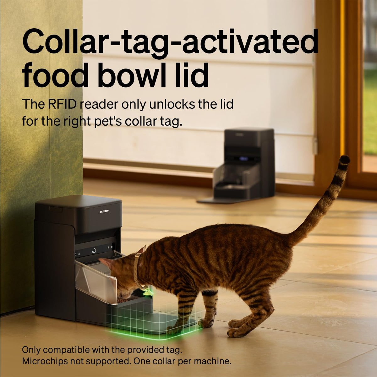 RFID Cat Feeder With Personalized Meal Access