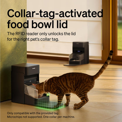 RFID Cat Feeder With Personalized Meal Access