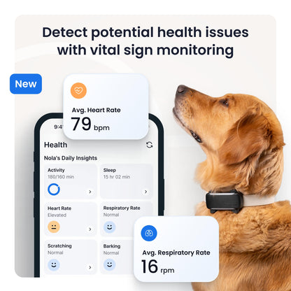 XL Smart Dog GPS Tracker With Virtual Fence