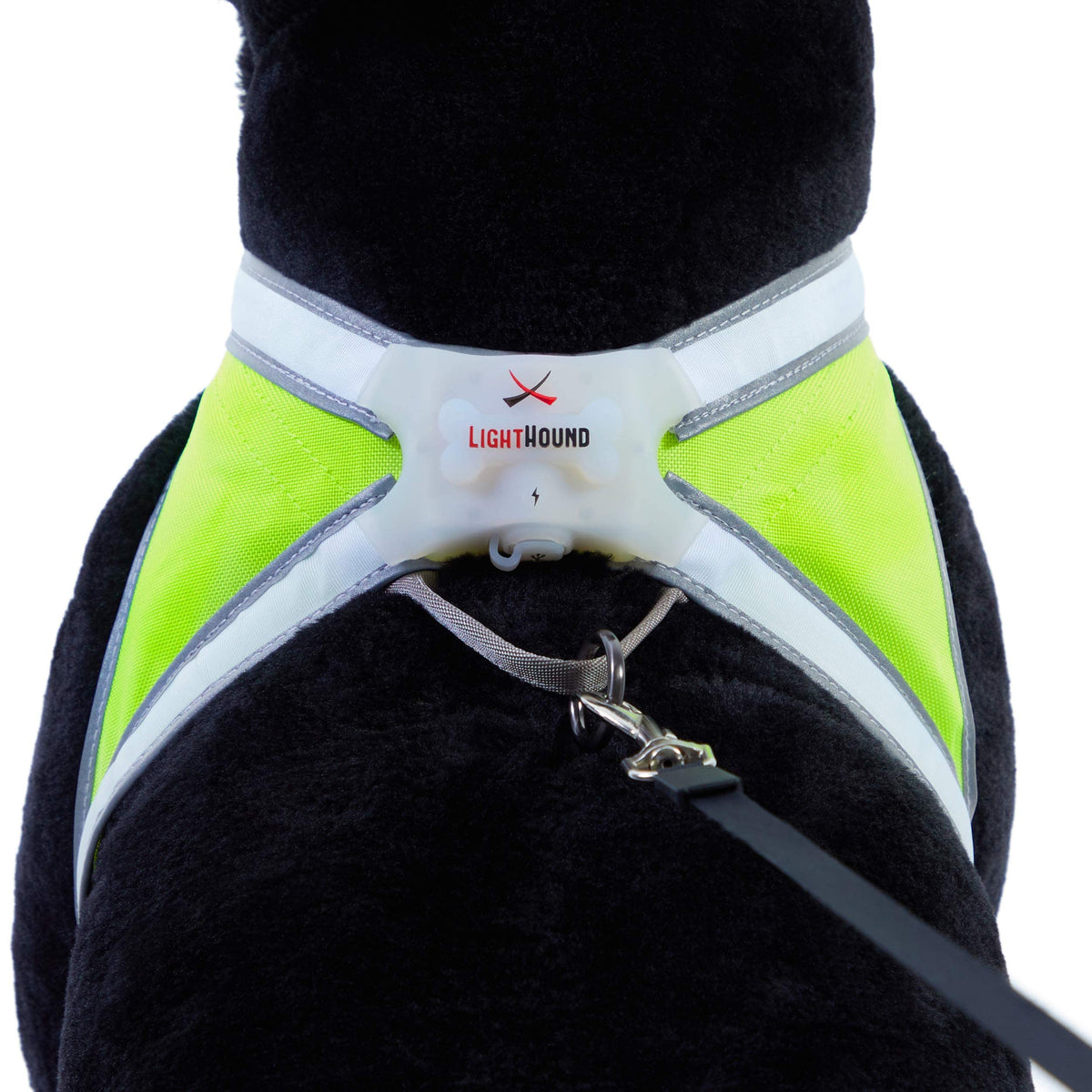 LED Reflective Dog Harness With Multicolor Lights