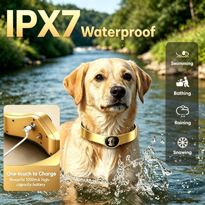 GPS Wireless Dog Fence System With Free App