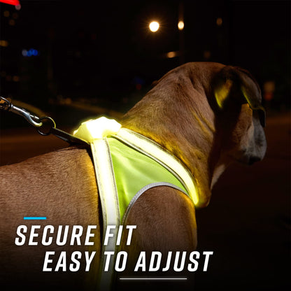 LED Reflective Dog Harness With Multicolor Lights