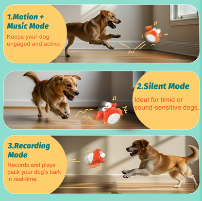 Interactive Dog Toys for All Breeds & Sizes