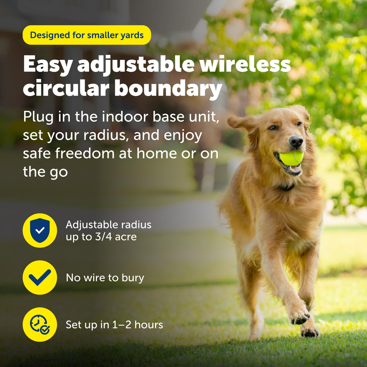 Adjustable Safety Collar for Dogs