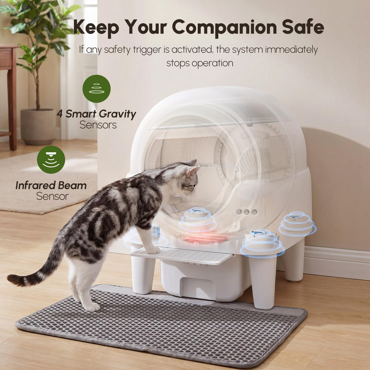 Self-Cleaning Litter Box With Smart App Control