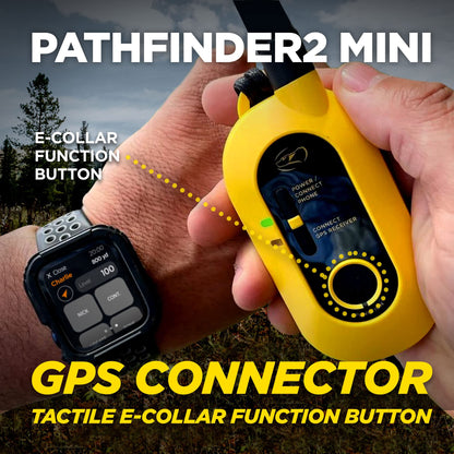 GPS Dog Tracker With 9-Mile Range & Training