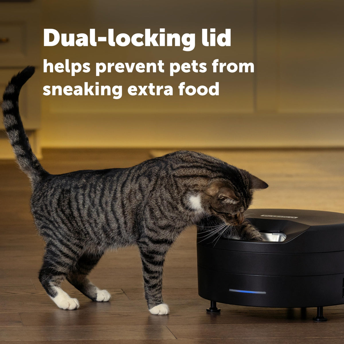 Refrigerated Pet Feeder With 6 Fresh Meals