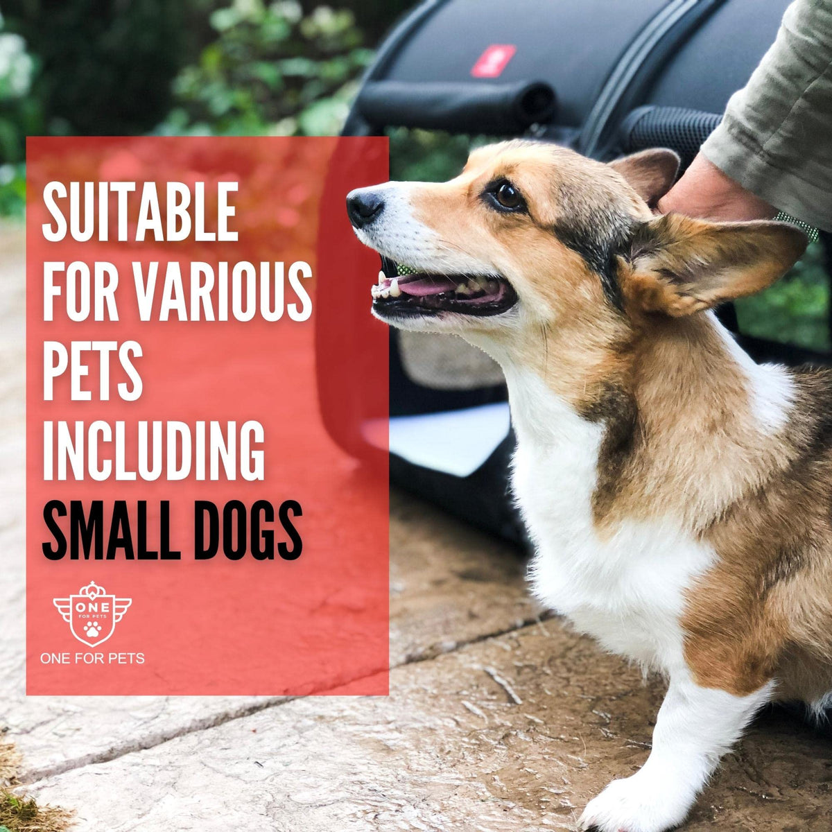 Portable 2-in-1 Double Pet Travel Kennel