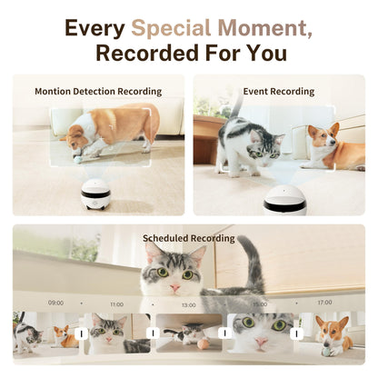 EBO ROLA Mini 2K Mobile Pet Camera Robot