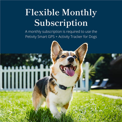 petivity Smart GPS and Activity Dog Tracker Tag