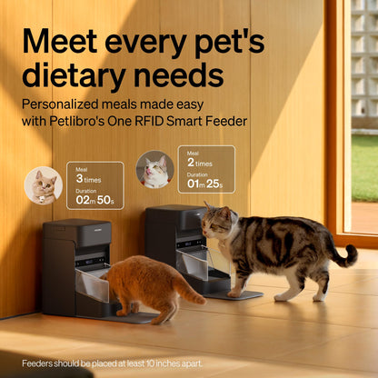RFID Cat Feeder With Personalized Meal Access