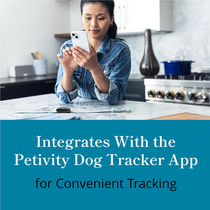 petivity Smart GPS and Activity Dog Tracker Tag