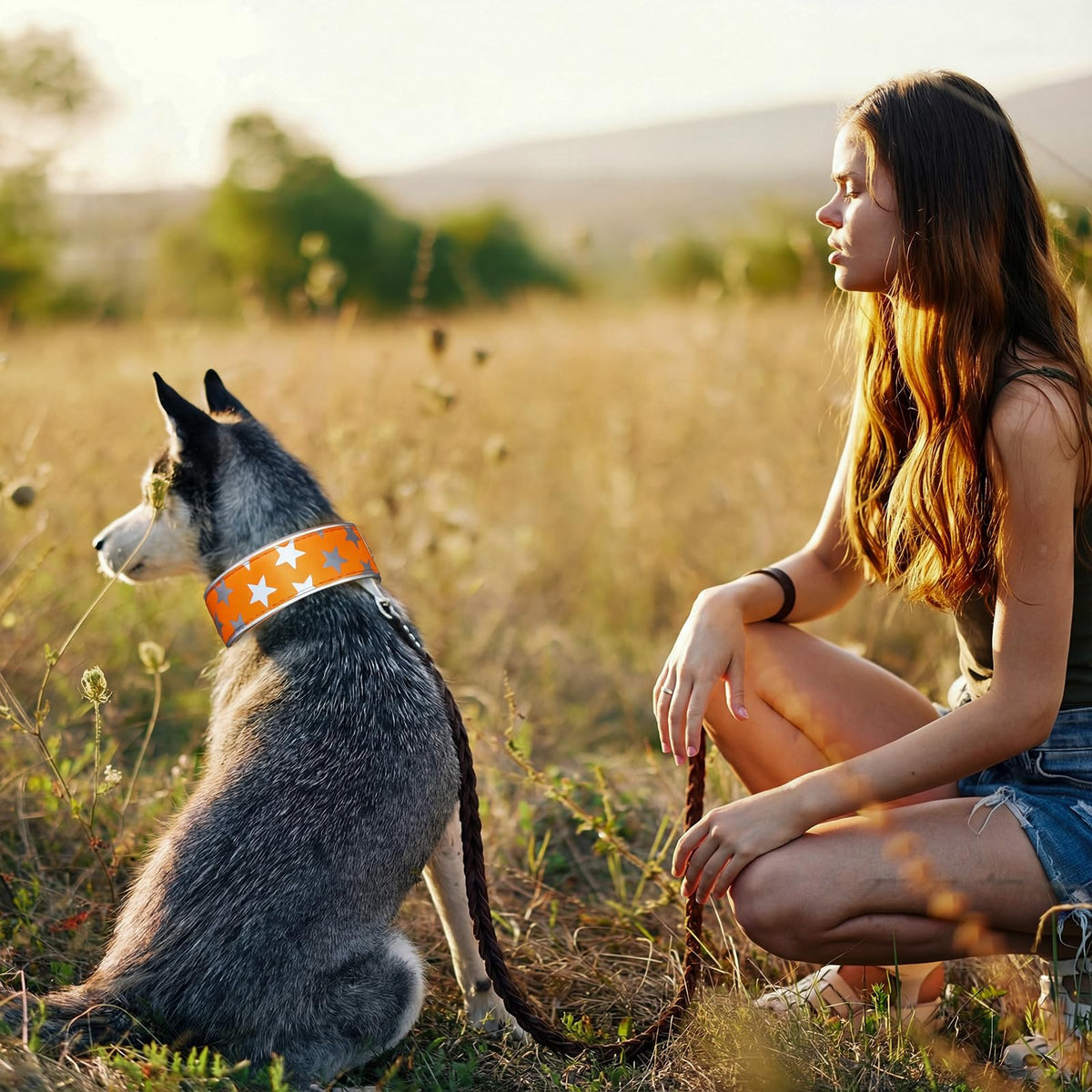 High-Visibility Reflective Dog Collars – 2 Pack