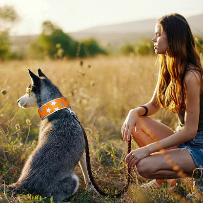 High-Visibility Reflective Dog Collars – 2 Pack