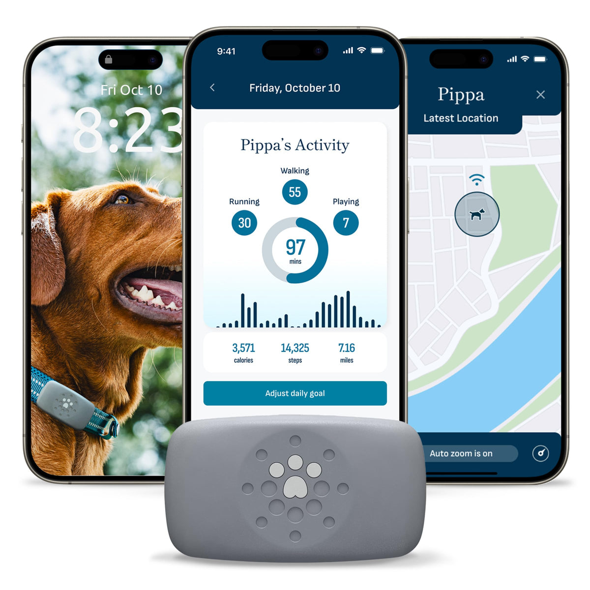 petivity Smart GPS and Activity Dog Tracker Tag