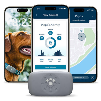 petivity Smart GPS and Activity Dog Tracker Tag
