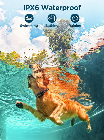 GPS Wireless Dog Fence System for Two Dogs