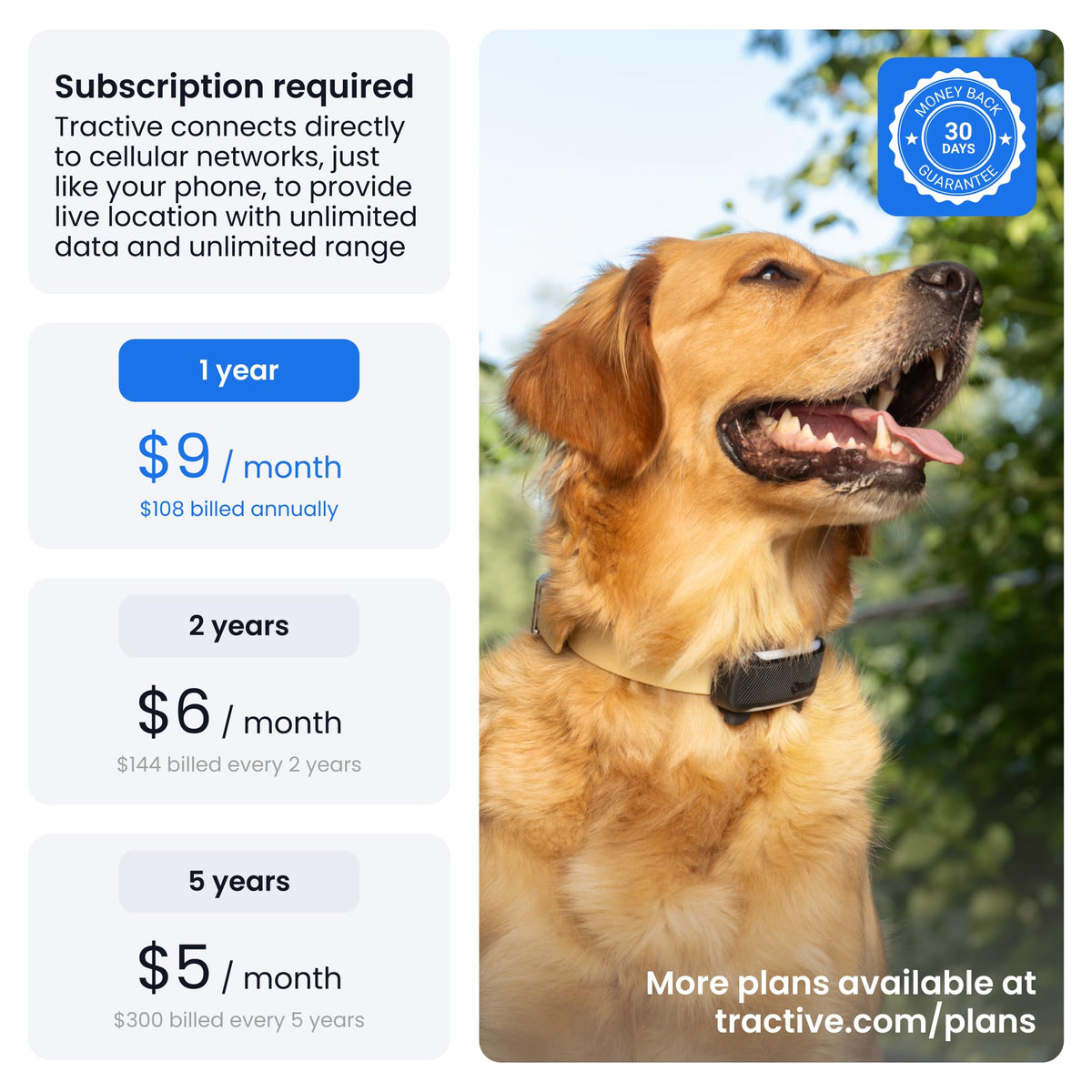 XL Smart Dog GPS Tracker With Virtual Fence