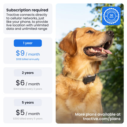 XL Smart Dog GPS Tracker With Virtual Fence