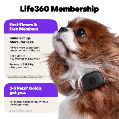 Pet GPS Tracker With Live Tracking & Escape Alerts
