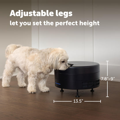 Refrigerated Pet Feeder With 6 Fresh Meals
