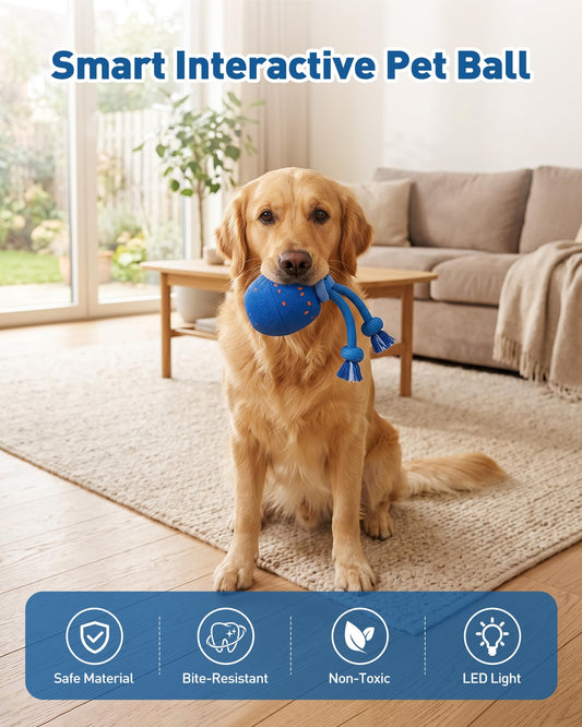 Smart Interactive Dog Ball With Automatic Motion