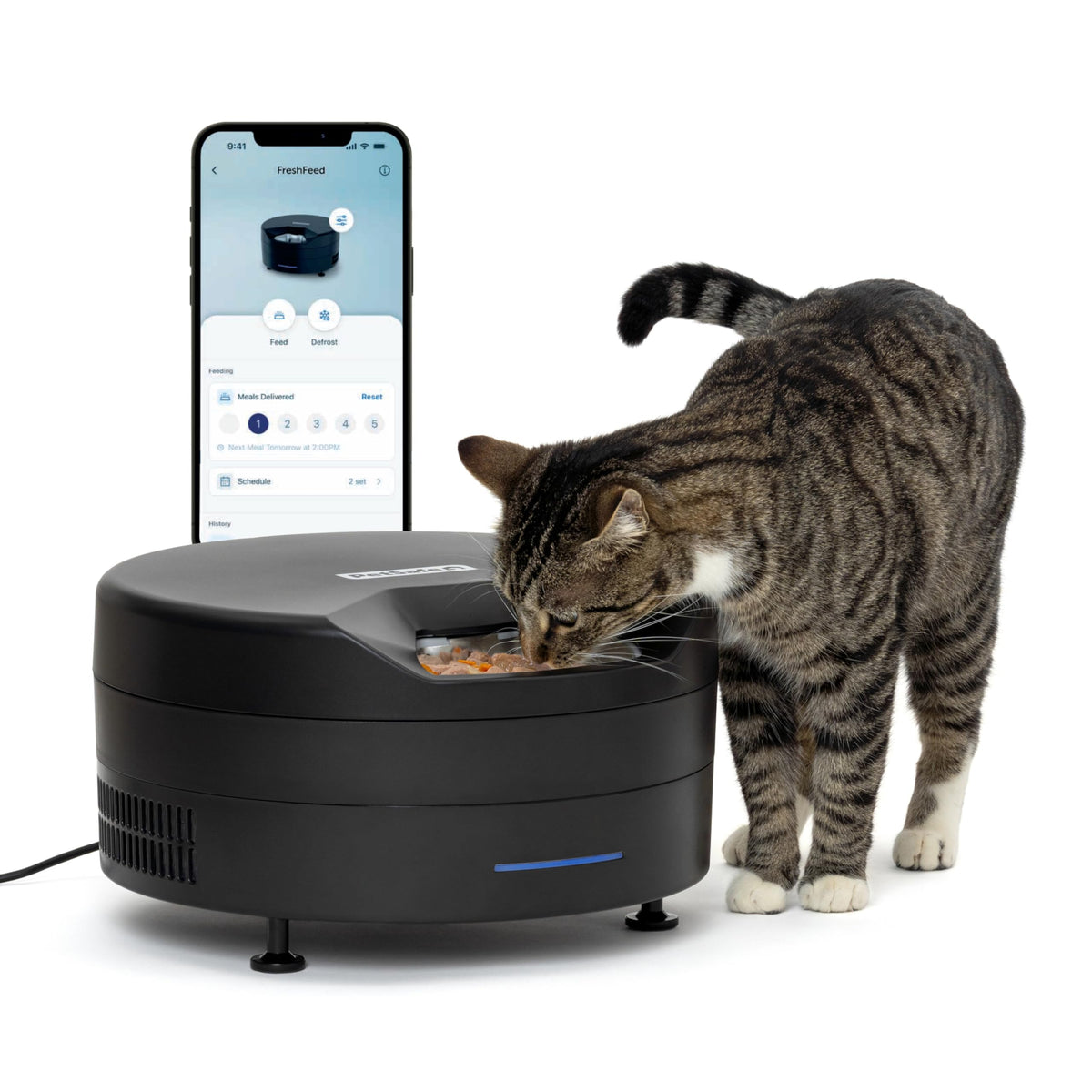 Refrigerated Pet Feeder With 6 Fresh Meals