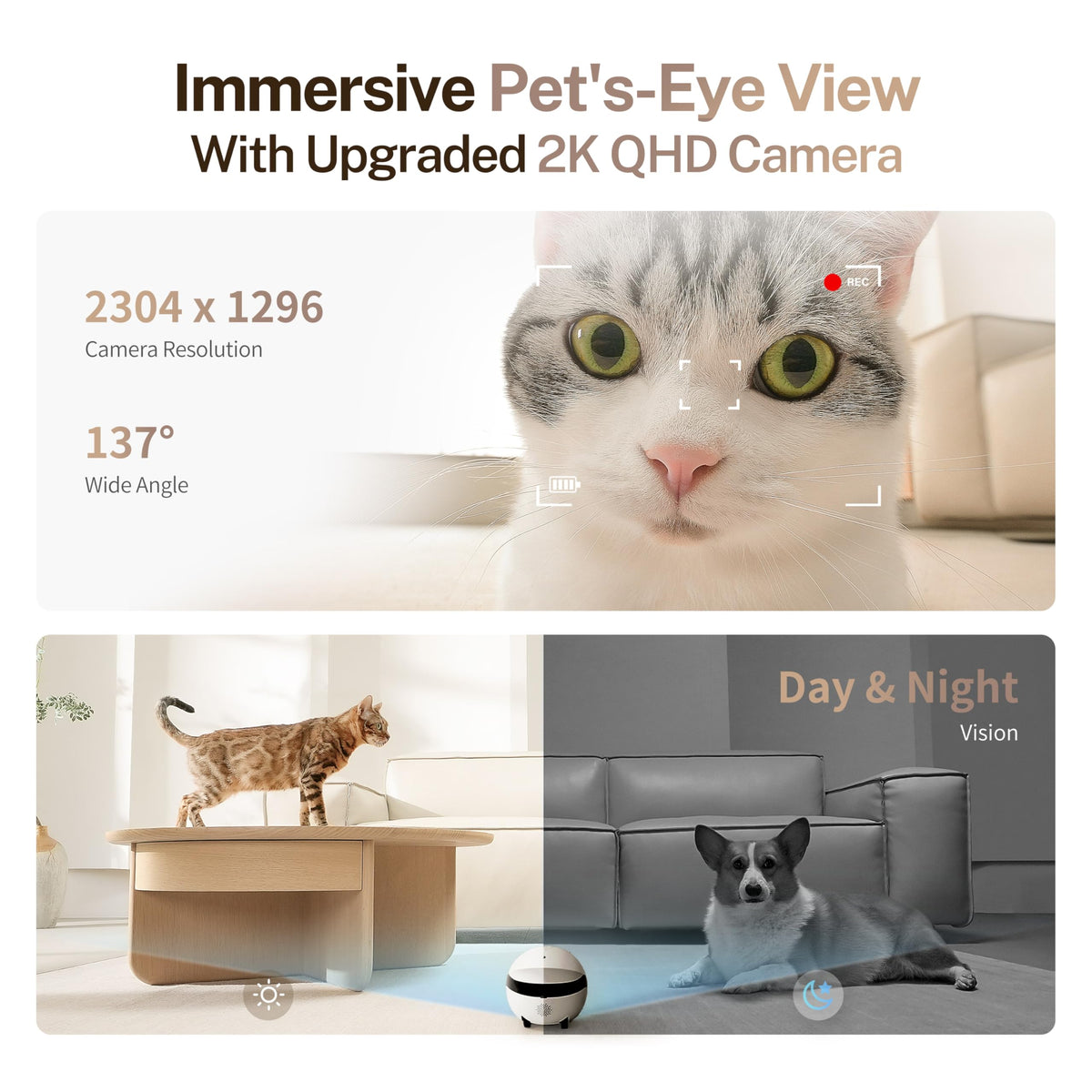 EBO ROLA Mini 2K Mobile Pet Camera Robot