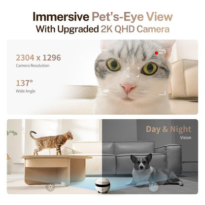 EBO ROLA Mini 2K Mobile Pet Camera Robot