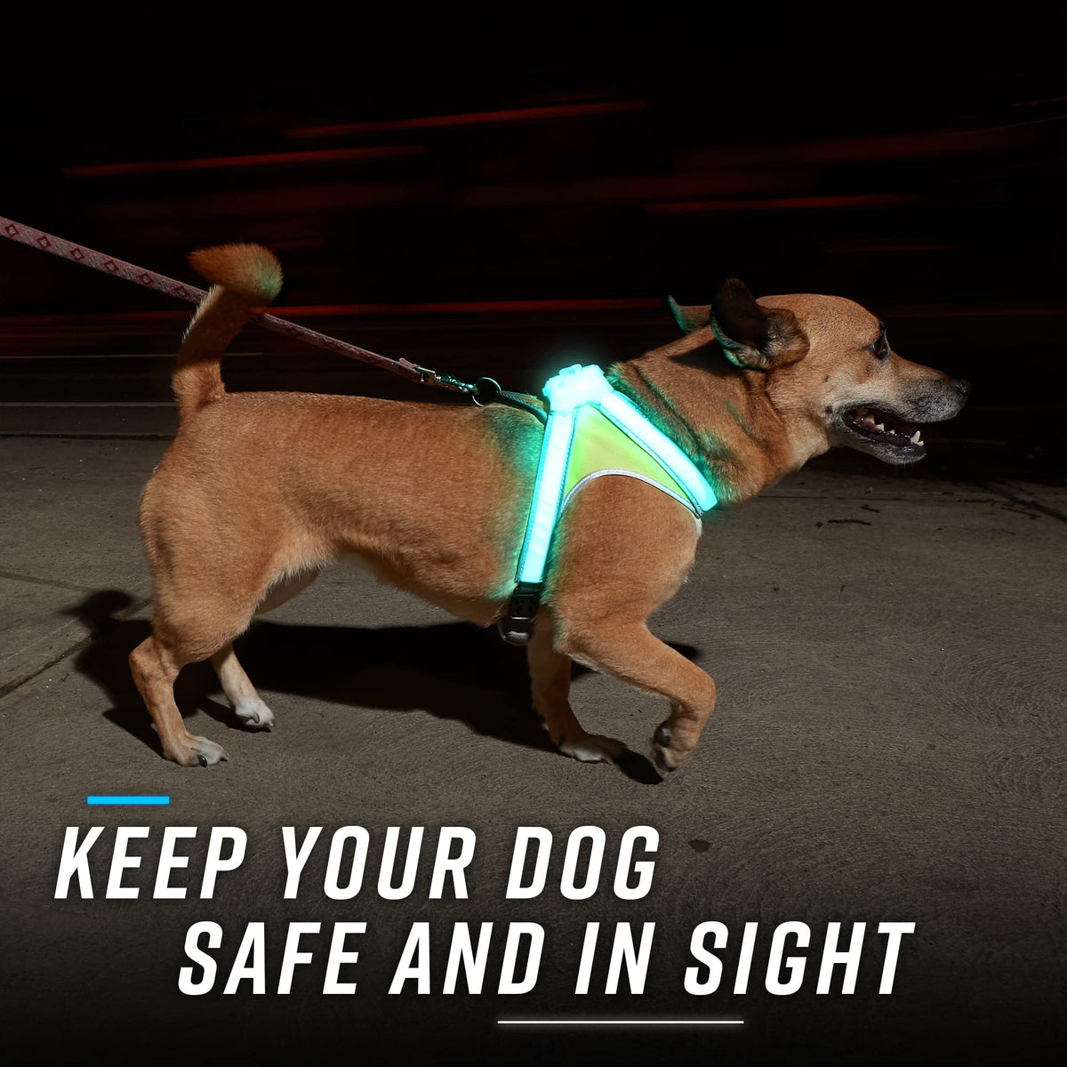 LED Reflective Dog Harness With Multicolor Lights