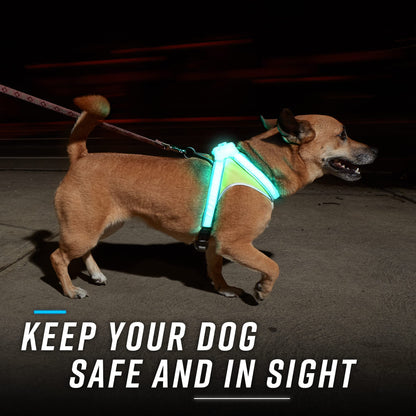 LED Reflective Dog Harness With Multicolor Lights