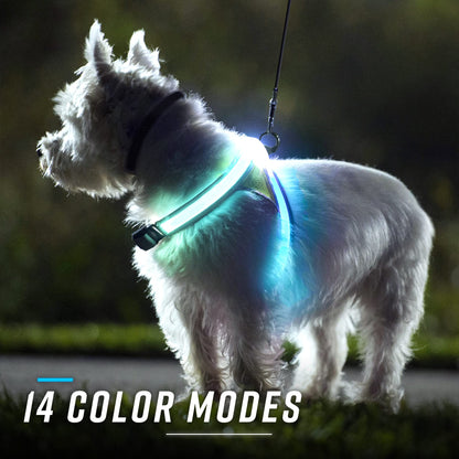 LED Reflective Dog Harness With Multicolor Lights