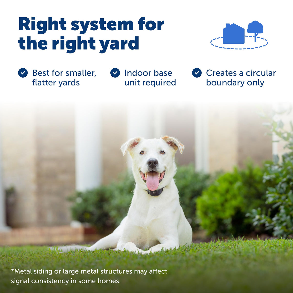 Adjustable Safety Collar for Dogs