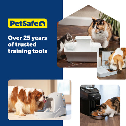 5L Pet Water Fountain With Continuous Fresh Flow