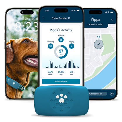 petivity Smart GPS and Activity Dog Tracker Tag