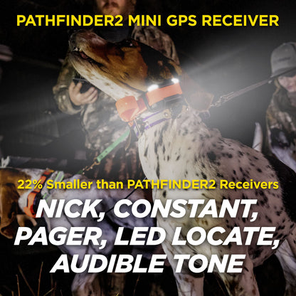 GPS Dog Tracker With 9-Mile Range & Training
